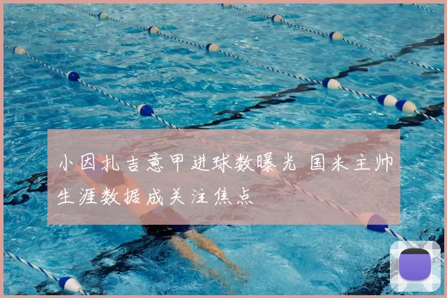 小因扎吉意甲进球数曝光 国米主帅生涯数据成关注焦点