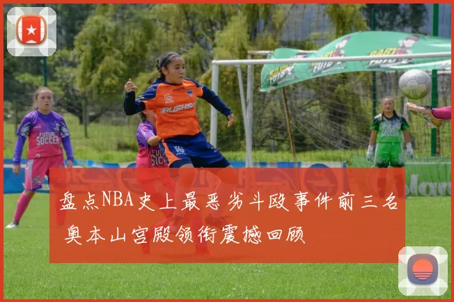 盘点NBA史上最恶劣斗殴事件前三名 奥本山宫殿领衔震撼回顾