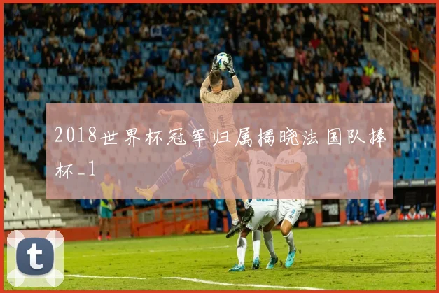 2018世界杯冠军归属揭晓法国队捧杯_1